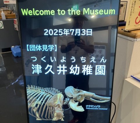 7.3　園外保育